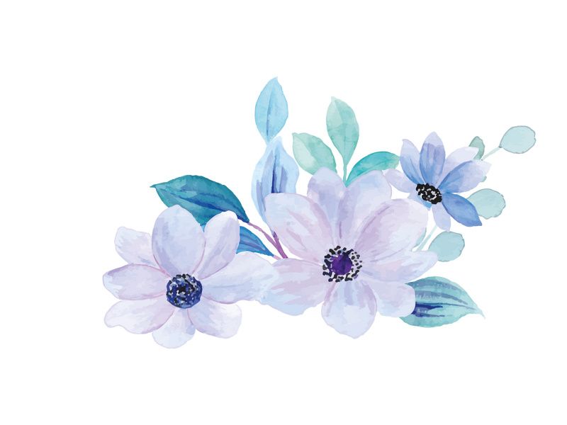 Vector Flower Watercolor Illustration