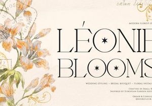 Neo Joel | Display Serif