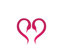 Swan logo Premium and symbol Vector