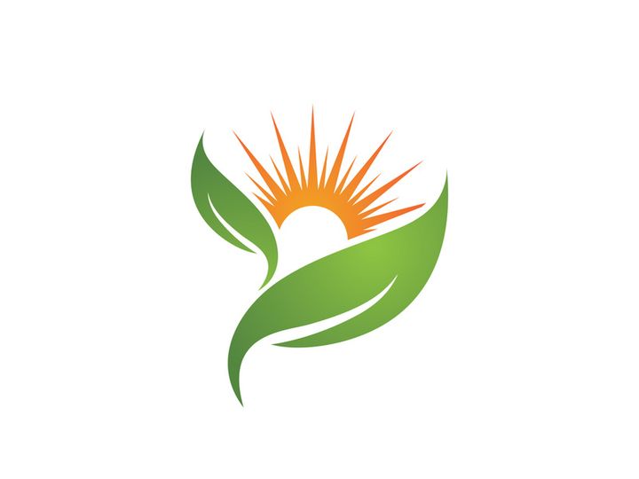 Green Tree leaf ecology nature element
