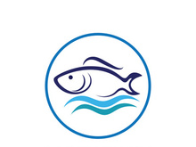Fish logo template. Creative vector symbol