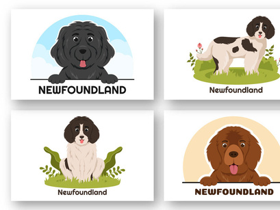 12 Newfoundland Dog Illustration