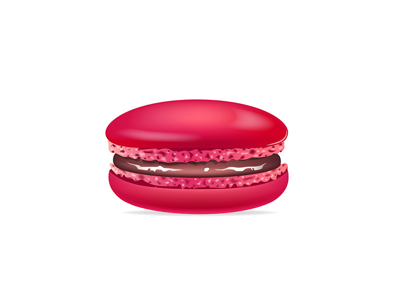 Macaroon, traditional french dessert realistic vector illustration
