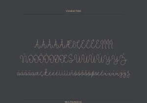 Overlovely Script Font