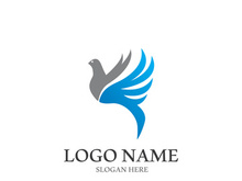 Dove bird logo vector design illustration
