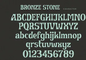 Bronze Stone - Serif Font