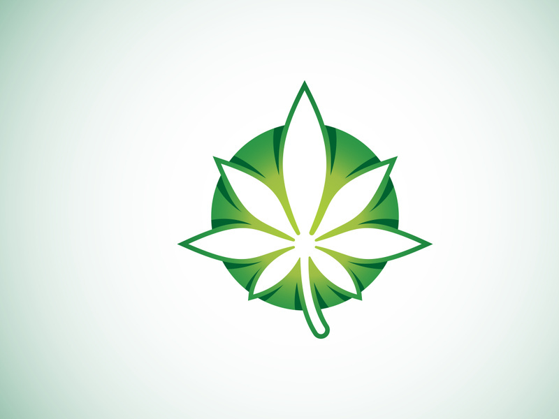 Marijuana leaf. Medical cannabis. Hemp oil. cannabis or marijuana leaf logo