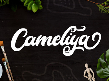 Cameliya - Bold Script Font preview picture