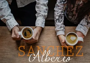 Porto Alegre Elegant Handwritting Signature Font