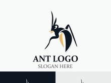Ant logo design silhouette. Isolated animal ants on background design template vector