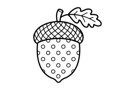 Acorn line art icon. Hand drawn nut illustration with leaf and polka dot pattern.