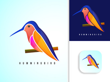 Modern colorful Hummingbird logo design template vector illustration preview picture