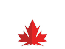 Maple leaf vector illustration design template