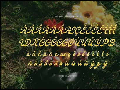 Fioltia Classica | Vilntage Bold Script