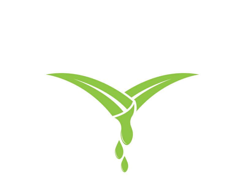 Aloe Vera logo icon design symbol beauty skin care