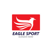 Eagle wing logo design vector image template