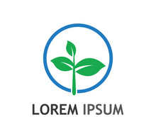 Natural green leaf logo.