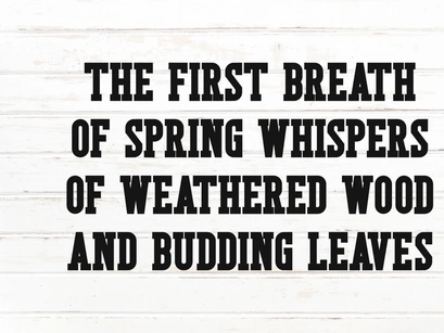 Rustic Spring - Modern Slab Serif