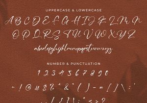 Ving Winston - Signature Font