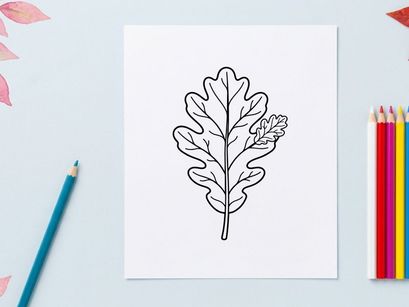 Close-up of a detailed oak leaf. Natural botanical illustration for eco or nature themes.