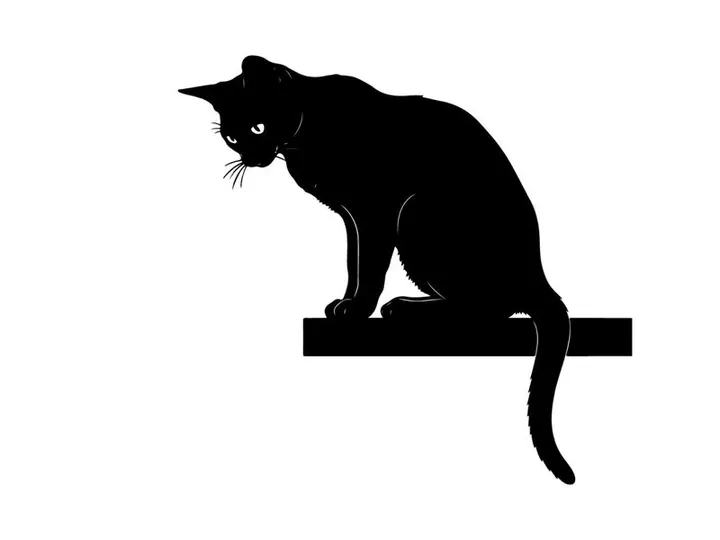 Black cat silhouette sitting on a ledge looking down