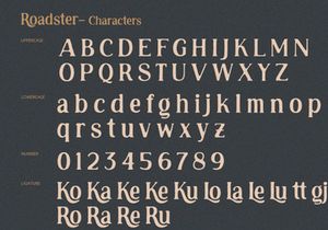 Roadster - Rough Display