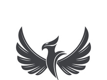 Falcon logo template vector illustration design