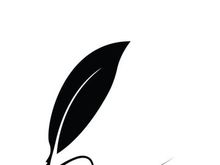 Feather quill design icon and logo illustration classic stationery
