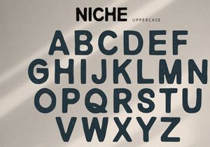Niche - Rough Display