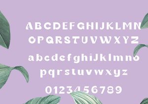 Gania Display Typeface