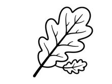 Simple leaf illustration for nature and eco themes. Minimalist botanical design for environmental projects.