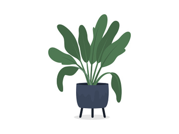 Dieffenbachia houseplant in pot semi flat color vector object preview picture