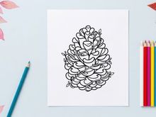 Ilustrasi kerucut pin abstrak. Gambar botani artistik untuk proyek desain