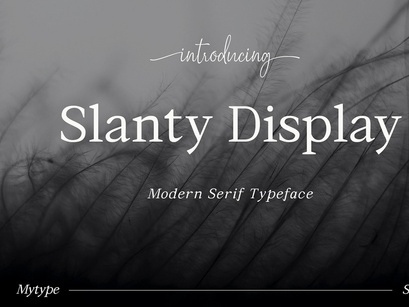 Slanty Display Serif Font