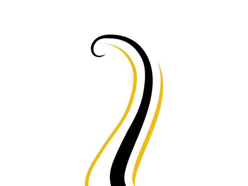 Elegant Wavy Hair Salon Logo Template
