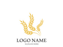 Wheat logo vector icon illustration design