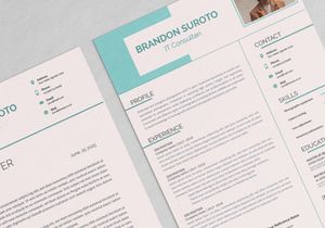 Professional Resume Suroto