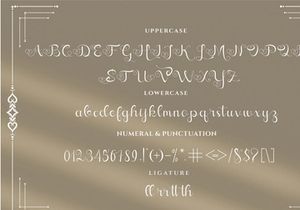 Introducing Nagita - Modern Calligraphy Script Font