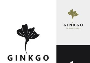 Ginkgo leaf biloba logo nature. Healthy ingredient that is used in medicine for disease treatment with line art style design