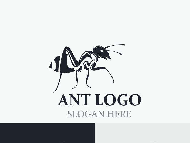 Ant logo design silhouette. Isolated animal ants on background design template vector Ant logo design silhouette. Isolated animal ants on background design template vector