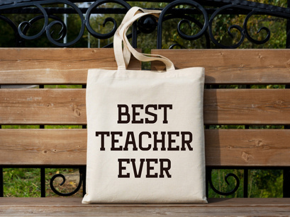 Teacher Varsity - Vintage Slab Serif