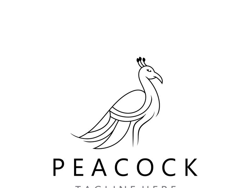 Peacock logo line art elegant concept icon design template flat vector illustration