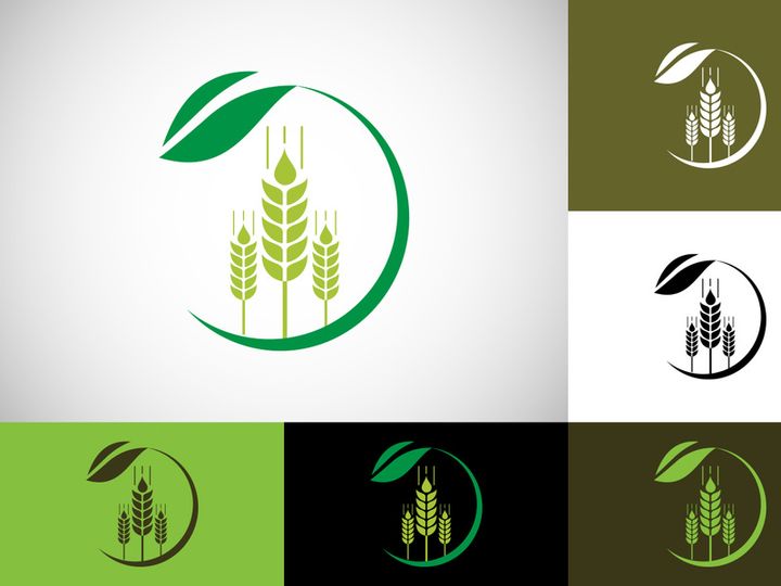 Wheat Ears Icon and Logo. For Identity Style of Natural Product Company and Farm Company. Agricultural symbols