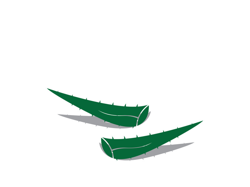 Aloe Vera logo icon design symbol beauty skin care