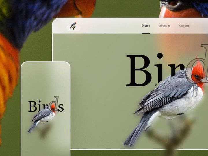 Birds Website Design-Free Glassmorphism-Responsive