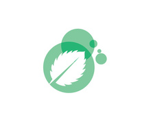 Mint Leaf icon template illustration