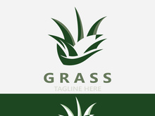 Grass logo image plant nature logo design template vector