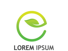 Natural green leaf logo.