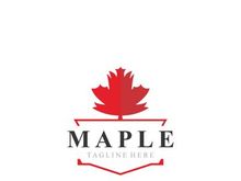 Maple leaf logo design vintage style graphic illustration