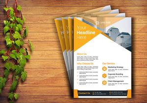 Professional Flyer Design Template
